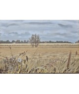 Anthony Day - The Barley Fields