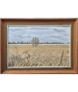 Anthony Day - The Barley Fields