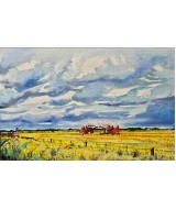 Barbara Tribe - Harvesting New South Wales