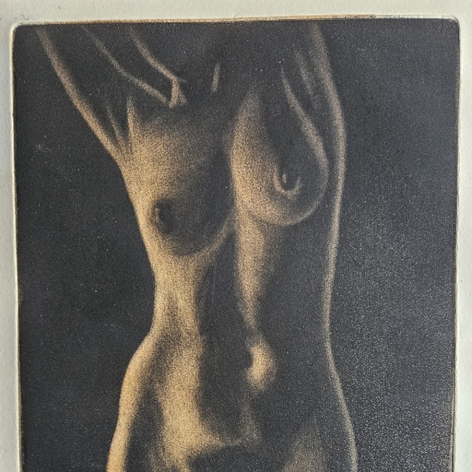 Francis Kelly - Golden Nude