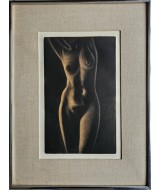 Francis Kelly - Golden Nude