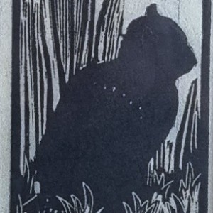 Rupert Lee - Black Cat